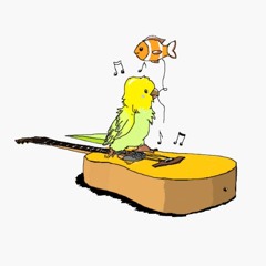 Dance with Me | beabadoobee Cover | Budgie solo