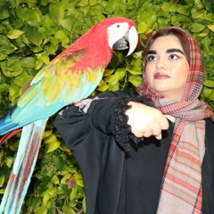 باب اسفنجی💛