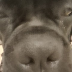 чё