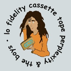 Lo Fidelity Cassette Tape Perplexity and the Boys