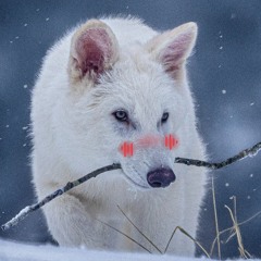 Woofls