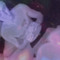 luxuryywn archive