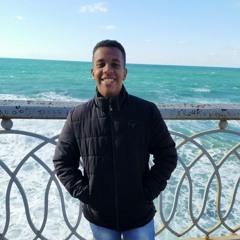 Mohamed Saleh