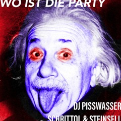 DJ PISSWASSER SCHRITTOL UND STEINSELL