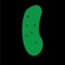 Dill