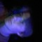 Alec Bluth