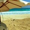 True Dream trips⛱️