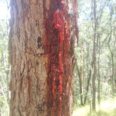 lookmeintheeyesandlieagain