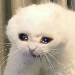 ㆍ