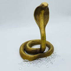 Black Cobra of Death
