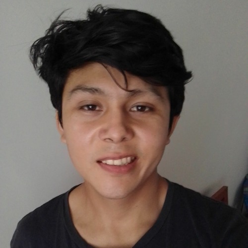 Miguel Angel Viacava Alvarez’s avatar