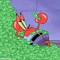 Mr.Krab$$