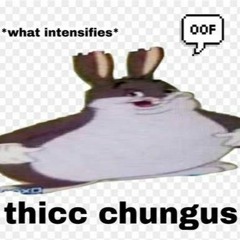 S33K Thic boi