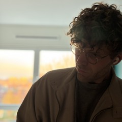 Maurice van der Stoel