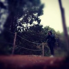 Andersson Cabezas Gutierrez