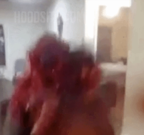 niggers suck
