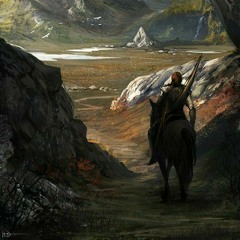 Lone Wanderer