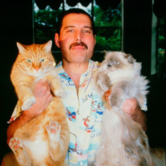 Anastasia Permyakova