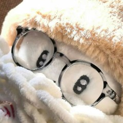 트비넥