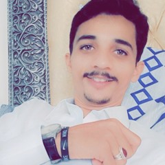 syed shahzaib