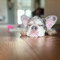 TYNDLE
