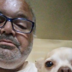 Stephen Andrew Toler