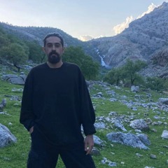 Mohamad Rezaie
