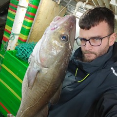 Txorongitos
