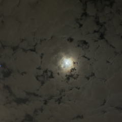 M.