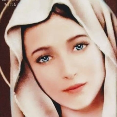 Mariam Attia’s avatar