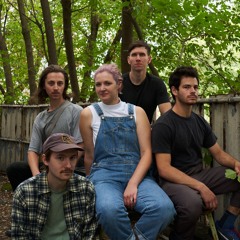 The Plastic Waste Band