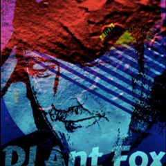DJ Foxx (Durban S.A)