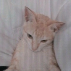 YuhHuy