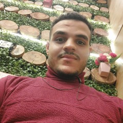 مصطفى جمال