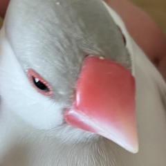 つる2‼︎