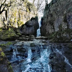 The Mellow Cello Weddings
