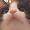 KissyBean