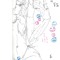 TheMangyCalf