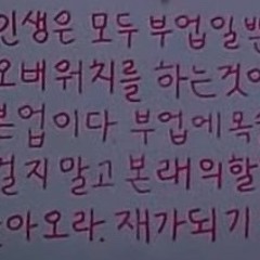dpwls1218