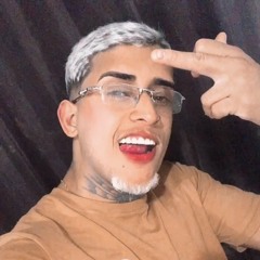 🎧 DJ 2N DA ROMÊNIA - [PITBULL DE OURO] ☑️