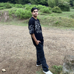 Adel11