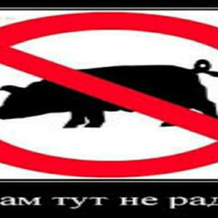 плотную всем нашим