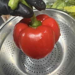 팝흐릭하