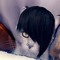 noxie nox
