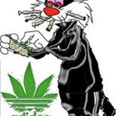 ziggy