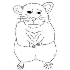 squeek