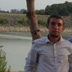 Gregory Michel Leccia