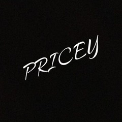 B. Pricey