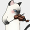 11층