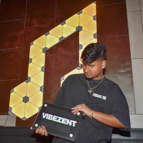 DJ VIBEZ ENT™️’s avatar